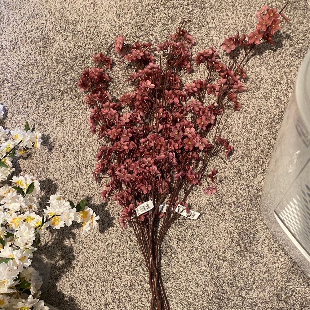Pink cherry blossom stems